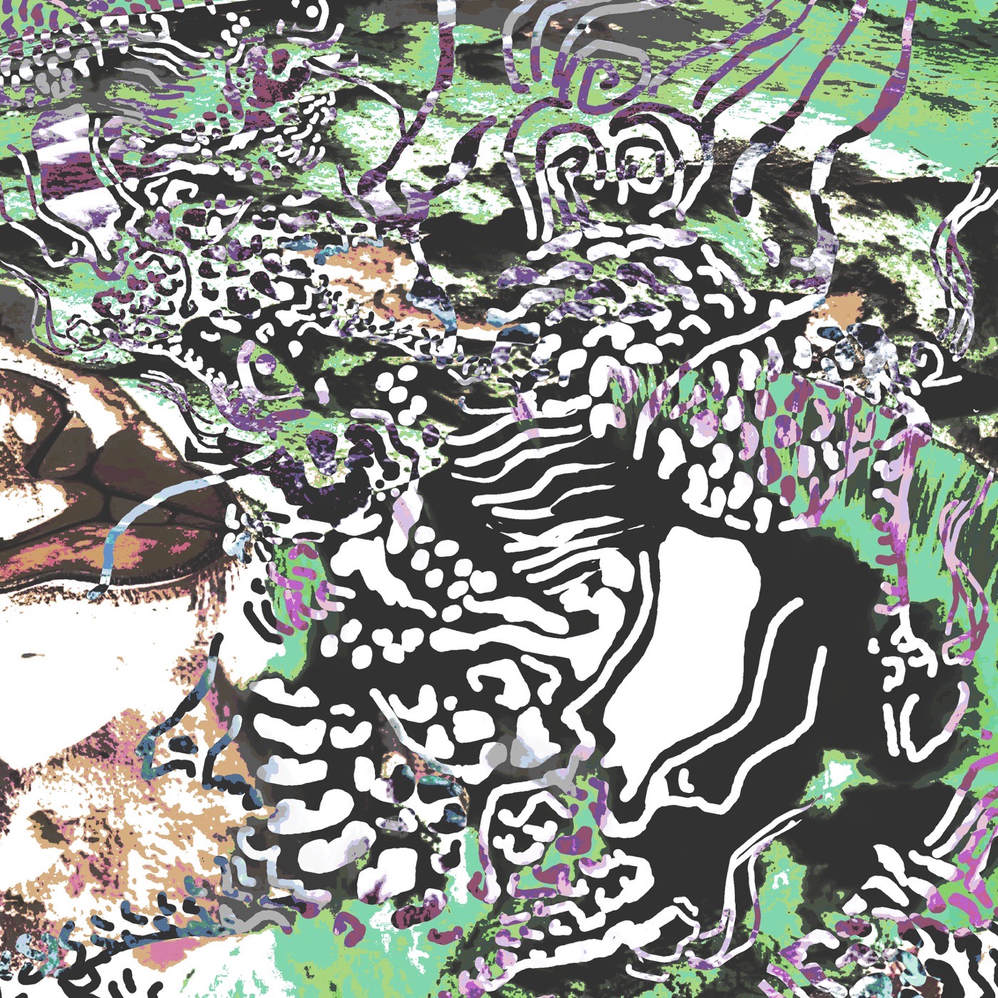 Imagen representativa de la sección Estampas.